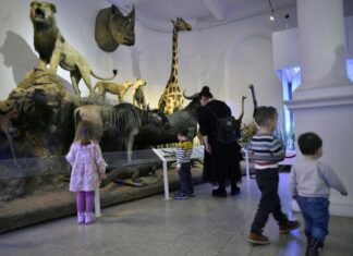 Noaptea Muzeelor 2023. Ghidul complet al evenimentului cultural din această noapte